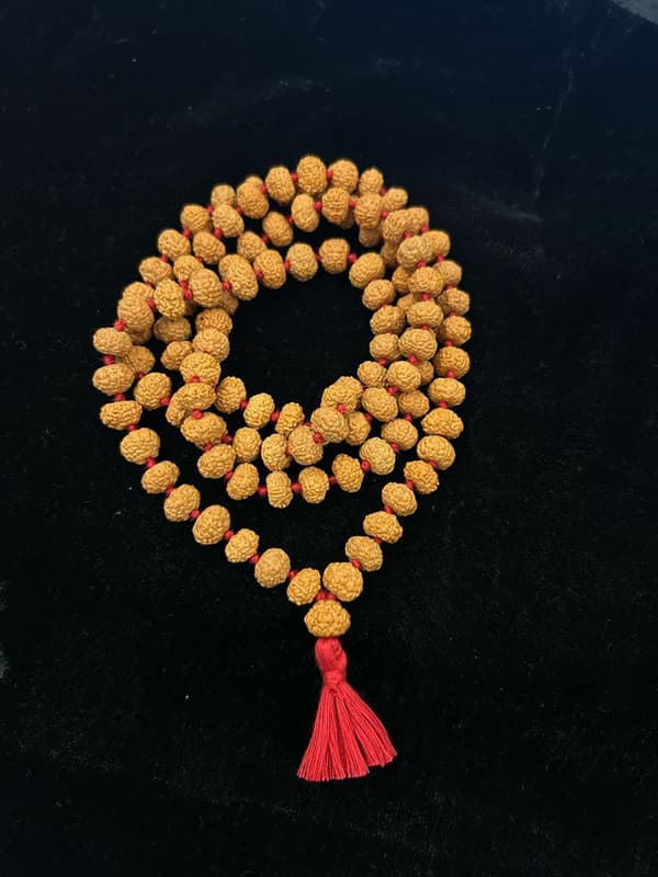 7 Mukhi Rudraksha Mala